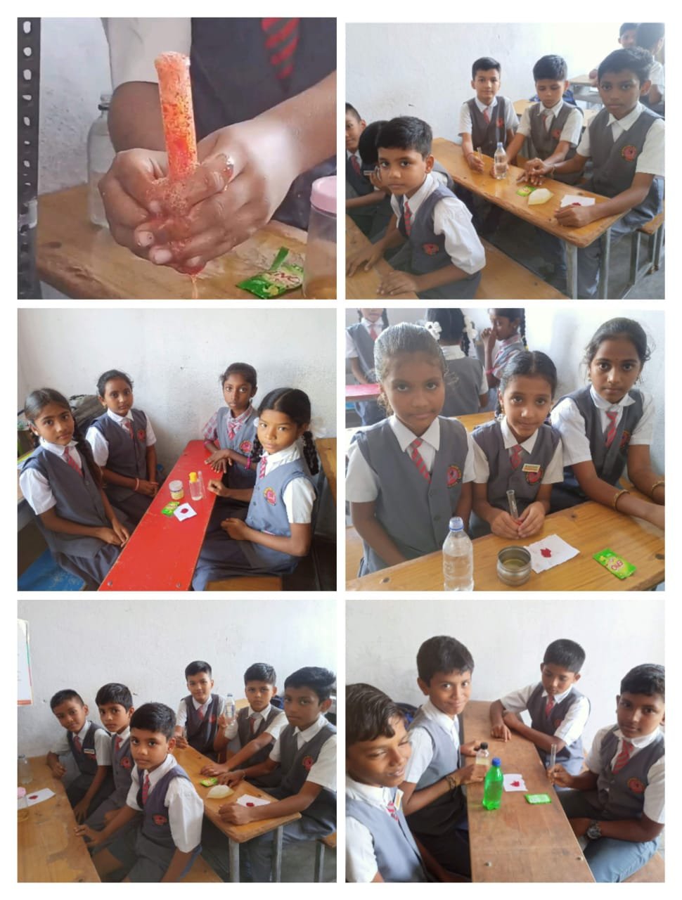 Educational programs